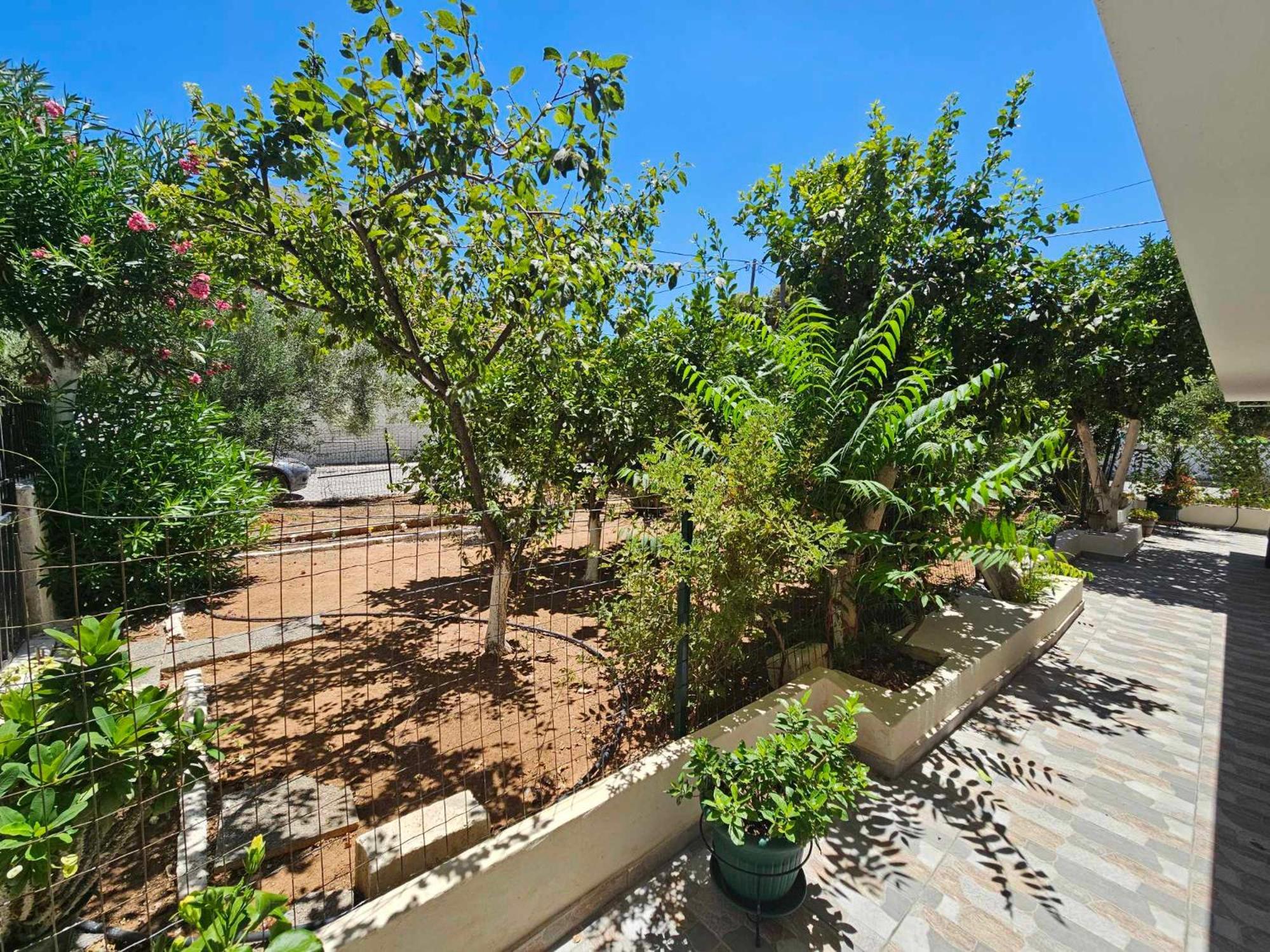 Ferienwohnung Melograno Markópoulon Exterior foto