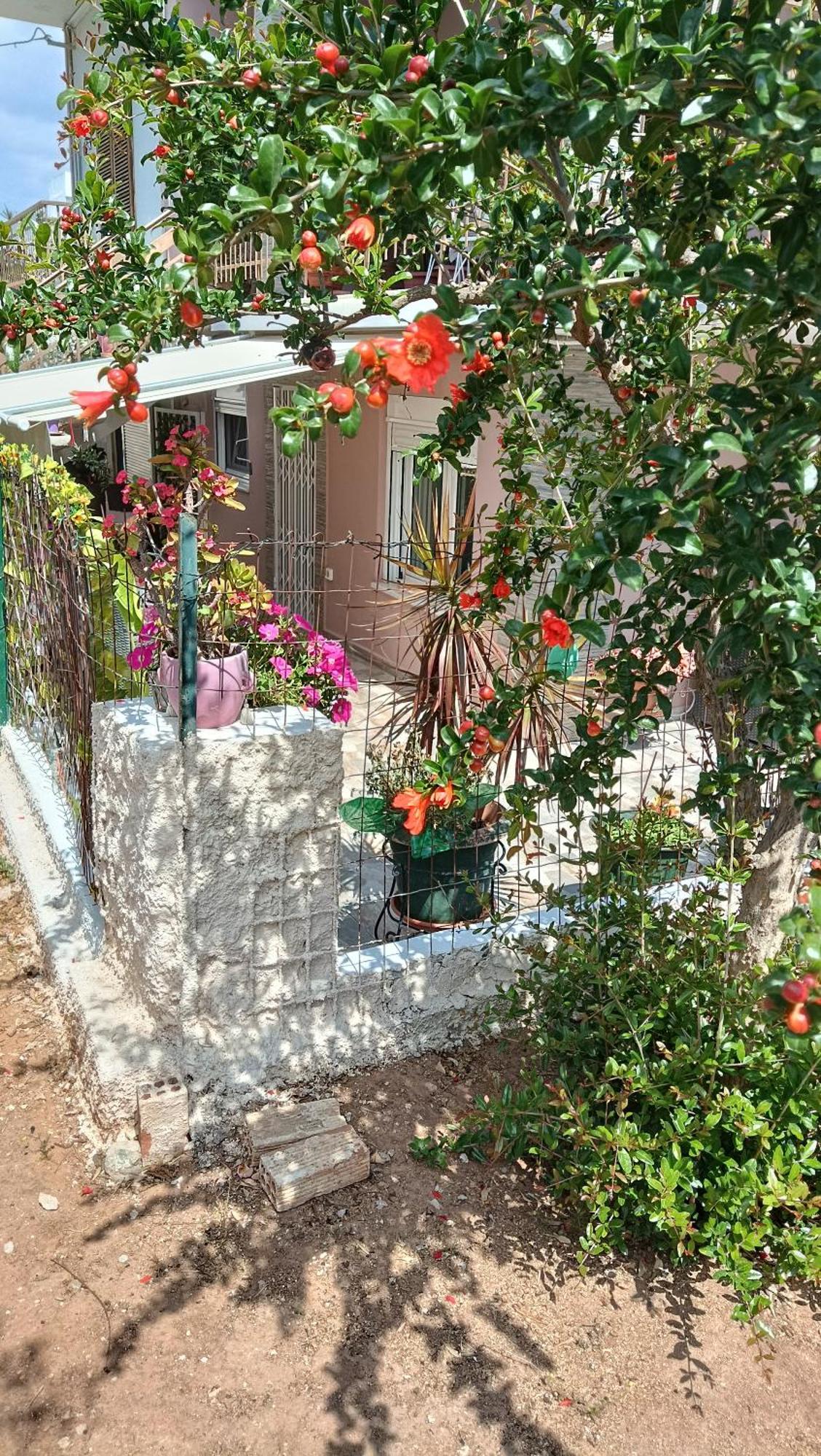 Ferienwohnung Melograno Markópoulon Exterior foto
